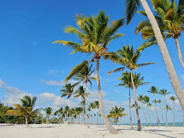 Comment le tourisme durable influence-t-il les choix des voyageurs ?