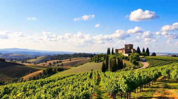 Top 10 activités incontournables sur la route des grands crus de Bourgogne